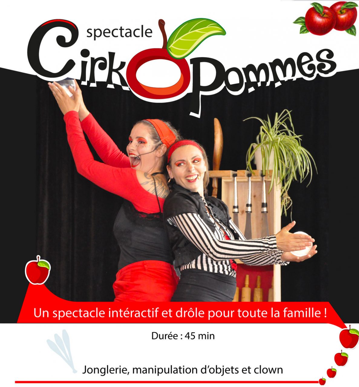 spectacle familial cirque