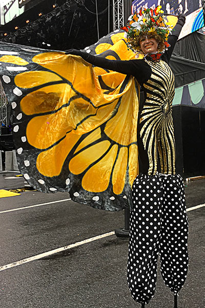 Monarch Butterfly